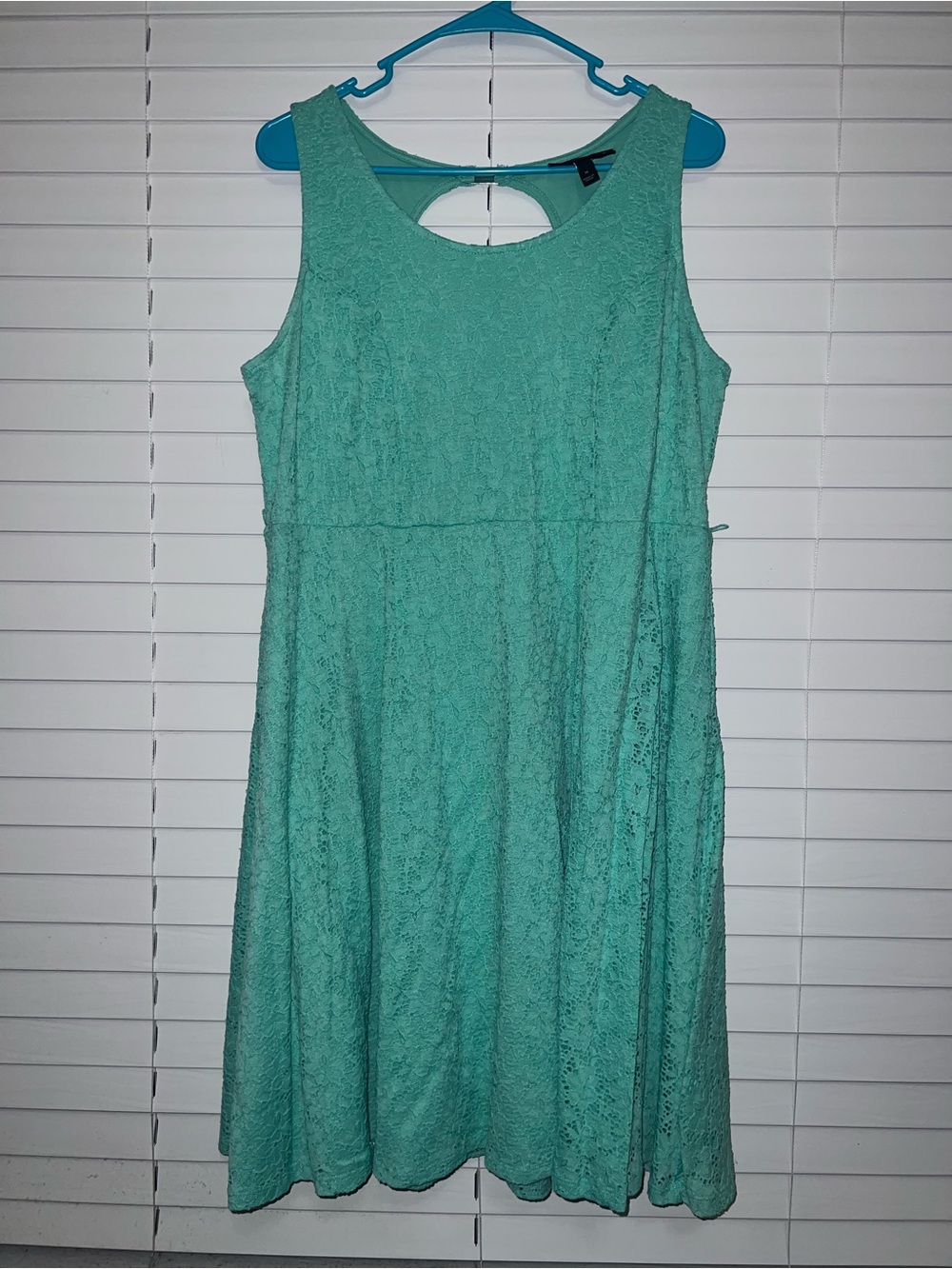 Lane Bryant Mint Green Lace Fit-and-Flare Dress